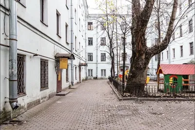 Яркая студия у Таврического сада — sm.webp