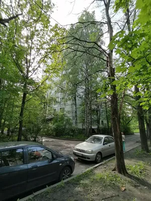 Уютная квартира на Дачном проспекте  — sm.webp