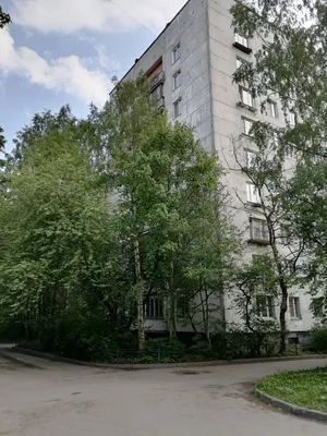 Уютная квартира на Дачном проспекте  — sm.webp