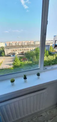 Ленинградский однокомнатная — sm.webp