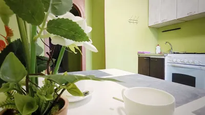 Квартира в центре с видом на город — sm.webp