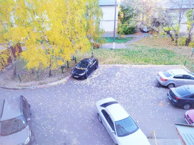 Квартира посуточно  — sm.webp