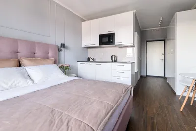 Cozy apartment Sity Center. Ligovka.  — sm.webp