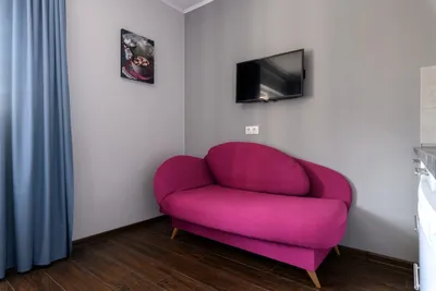 Cozy apartment Sity Center. Ligovka.  — sm.webp