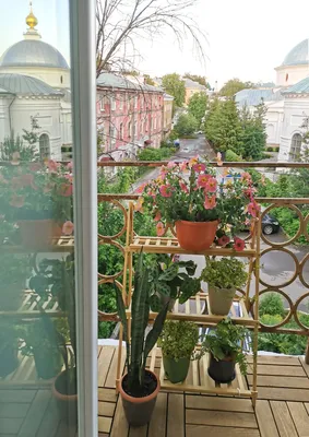 Квартира класса люкс — sm.webp