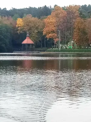 Relax ЖК "Alpen park" у озера Тихое рядом с Баден СПА — sm.webp