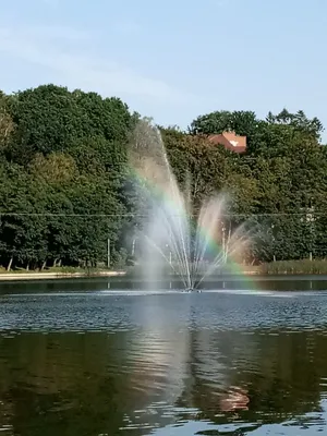 Relax ЖК "Alpen park" у озера Тихое рядом с Баден СПА — sm.webp