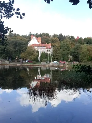 Relax ЖК "Alpen park" у озера Тихое рядом с Баден СПА — sm.webp