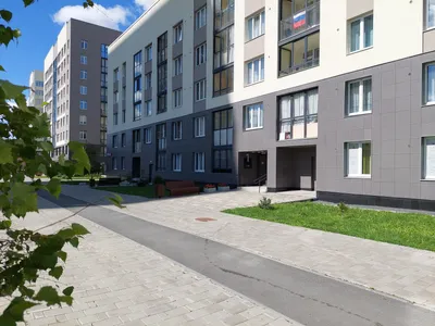 Милая студия в Академическом — sm.webp