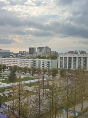 Однокомнатная квартира в Центре — sm.webp