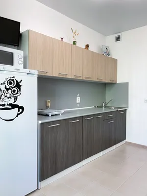 Просторная однокомнатная квартира до 5 спальных мест🏡 — xl.webp