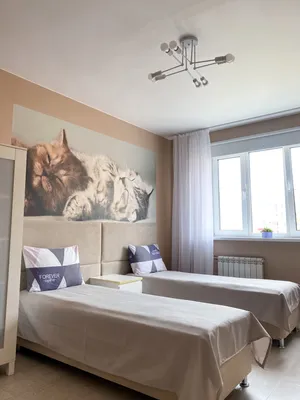 Большая двухкомнатная квартира на 5 гостей🏡 — xl.webp