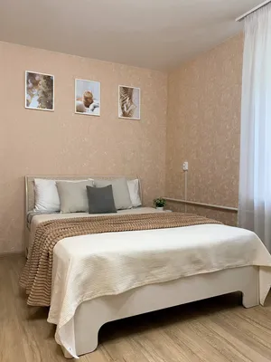 Уютная однокомнатная квартира🏡 — xl.webp