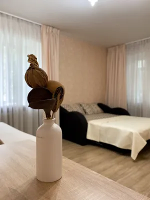 Уютная однокомнатная квартира🏡 — xl.webp