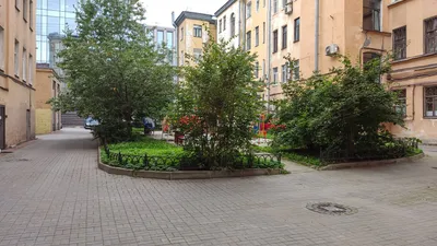 Видовая квартира у БКЗ и Московского вокзала — xl.webp