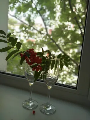 Квартира — sm.webp