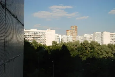 Уютная двушка  у парка — sm.webp