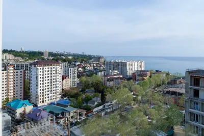 Дизайнерская студия с видом на море. — sm.webp