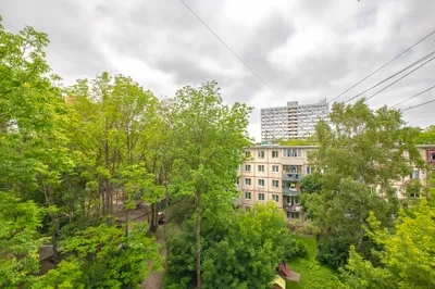 Квартира — xl.webp