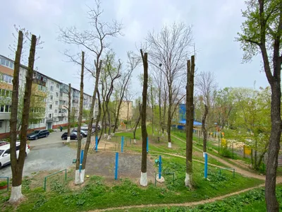 Квартира — sm.webp