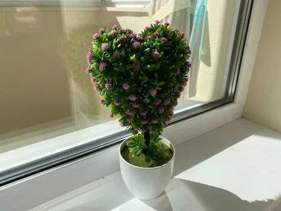 Квартира — xl.webp