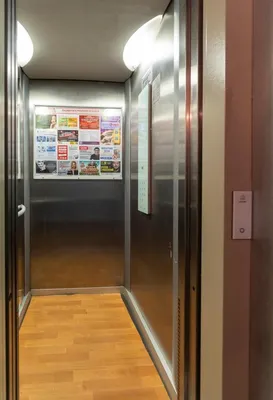 Кант за окном & Kant behind windows — sm.webp