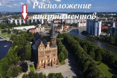 Кант за окном & Kant behind windows — sm.webp