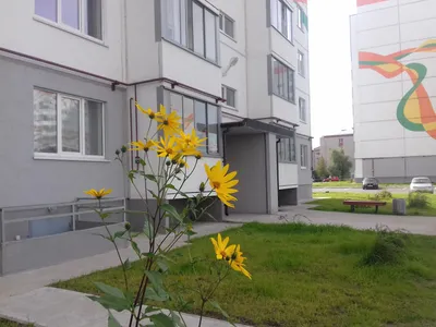 Уютные апартаменты Ивушки — sm.webp