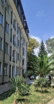 Уютная квартира около автодрома — sm.webp