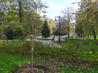 Квартира — sm.webp