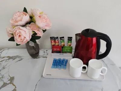 Квартира посуточно у парка Гагарина (4) — xl.webp