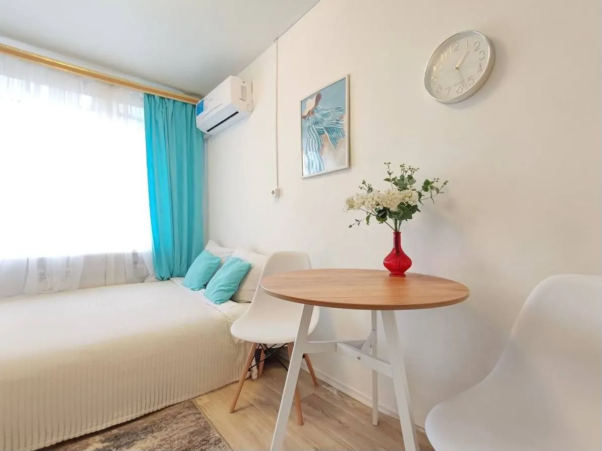 Квартира посуточно у парка Гагарина (5) — xl.webp