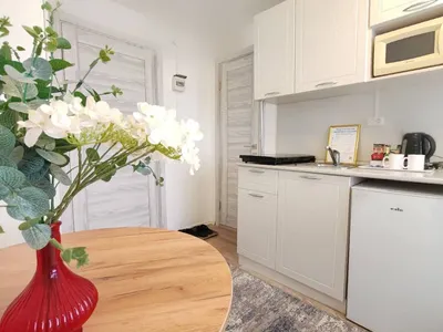 Квартира посуточно у парка Гагарина (5) — xl.webp