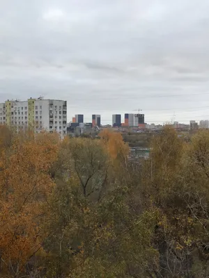 Квартира — sm.webp