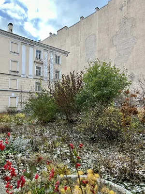 Студия в центре города — sm.webp
