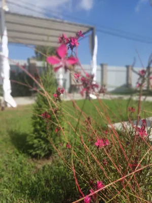 Коттедж Скандинавия Анапа — sm.webp