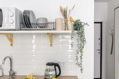 Студия около Невского проспекта и Московского вокзала — xl.webp