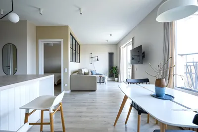 Nordic с балконом и видом на крыши  — sm.webp