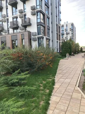 Самая дешевая цена на «МОРАВИИ» — sm.webp