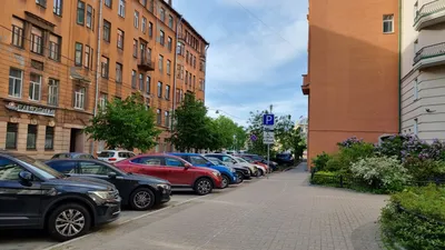 Студия на Петроградке — sm.webp