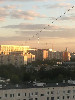 Просторная квартира 39 кв.м. в 3 мин. от м.Свиблово — sm.webp