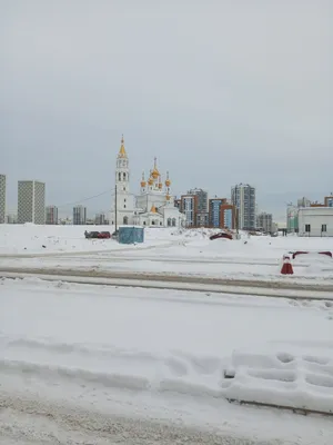 Студия Олимп — sm.webp