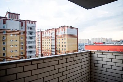 Квартира у Кристалла — xl.webp