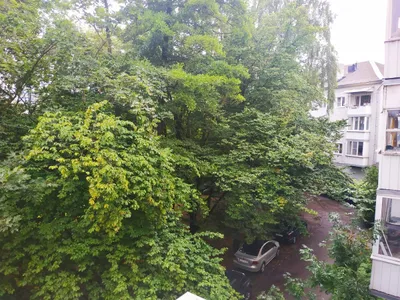 Уютная двушка в Центре города! — sm.webp
