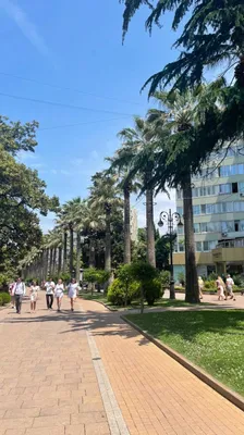 Студия без балкона на Роз 115/1 — sm.webp