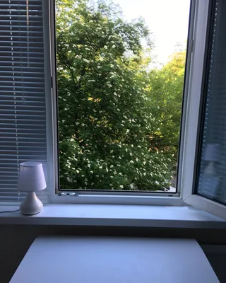 Cozy Apartaments "SOFI" с кондиционером — sm.webp