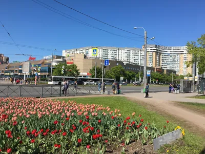 Cozy Apartaments "SOFI" с кондиционером — sm.webp