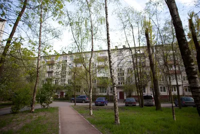 Однокомнатная квартира Город Рек у метро Звездная — sm.webp