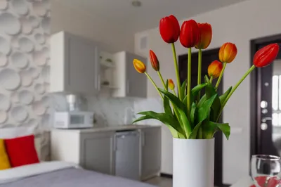 Квартира-студия, 22 м², 2/17 эт. — sm.webp