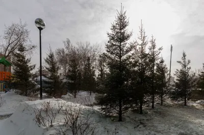 Квартира-студия, 22 м², 2/17 эт. — sm.webp